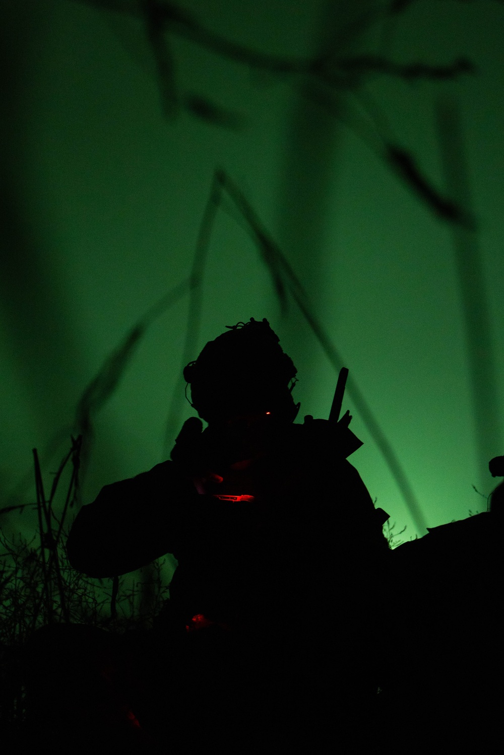 CERTEX 25.3: 1st ANGLICO Marines Provide Supporting Fires