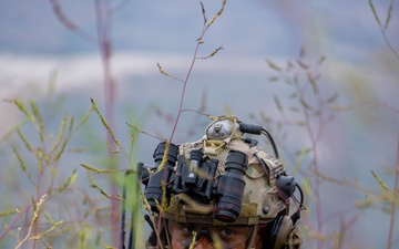 CERTEX 25.3: 1st ANGLICO Marines Provide Supporting Fires