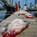 Coast Guard responds to oil sheen on Patapsco River in Maryland