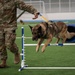 Grand Forks AFB hosts inaugural Top Dog of the Tundra Competition, celebrates Police Week 2025