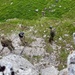 Vermont National Guard Soldiers train on Mt. Olympus