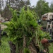 153rd HHC Sniper Lanes with Guatamalan Armed Forces