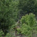 153rd HHC Sniper Lanes with Guatamalan Armed Forces