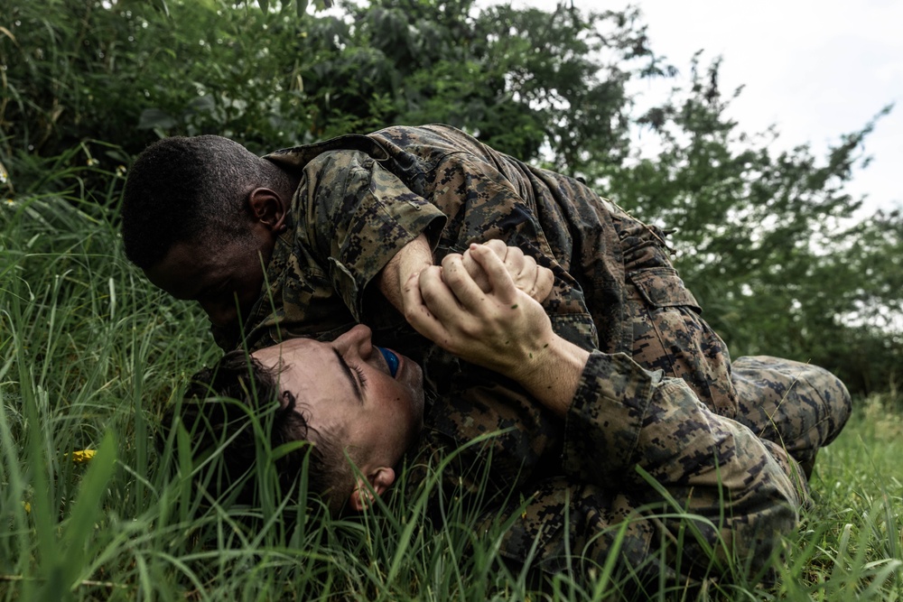 12th LLB Executes a Battle of Okinawa Inspired Training Day