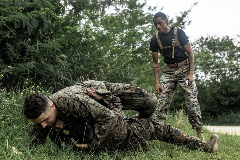 12th LLB Executes a Battle of Okinawa Inspired Training Day