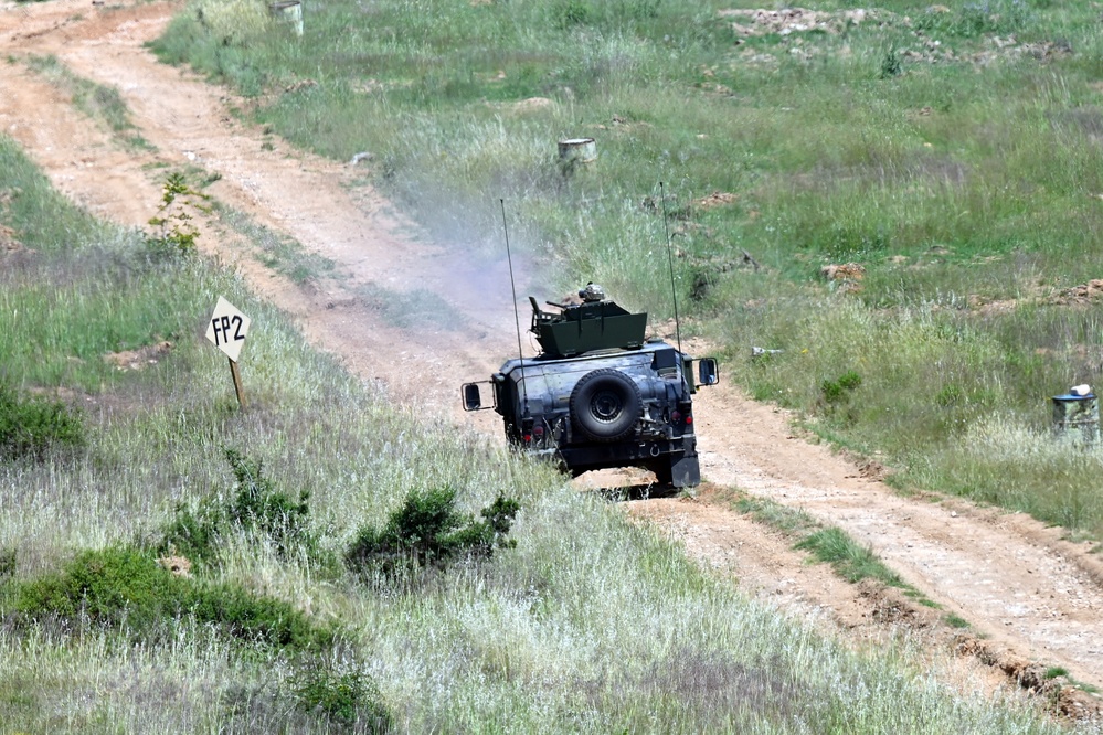 Immediate Response 25 - Petrochori, Greece