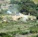 Immediate Response 25 - Petrochori, Greece