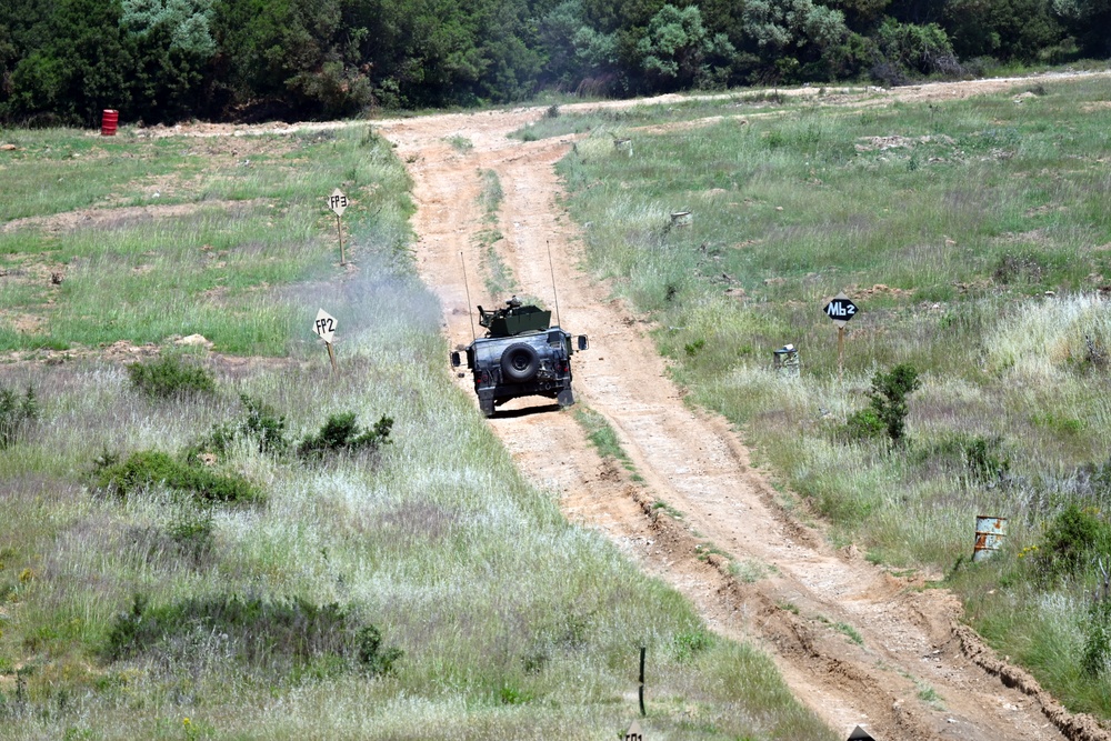 Immediate Response 25 - Petrochori, Greece