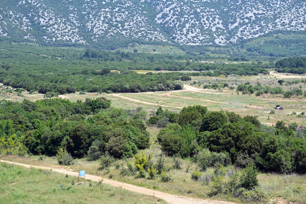 Immediate Response 25 - Petrochori, Greece