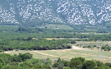 Immediate Response 25 - Petrochori, Greece