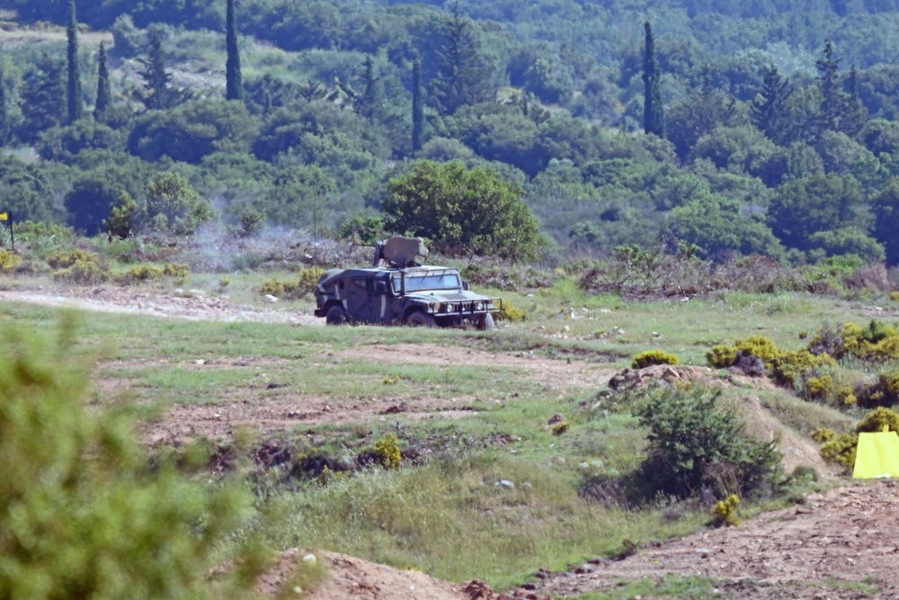 Immediate Response 25 - Petrochori, Greece