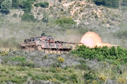 Immediate Response 25 - Petrochori, Greece [Image 5 of 36]