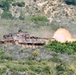 Immediate Response 25 - Petrochori, Greece