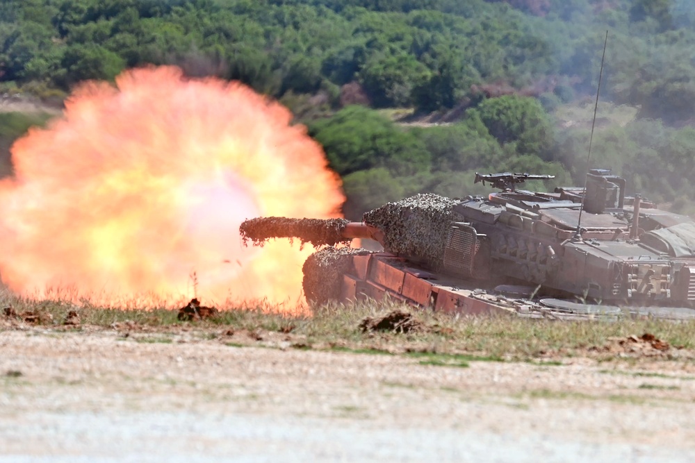 Immediate Response 25 - Petrochori, Greece