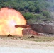 Immediate Response 25 - Petrochori, Greece