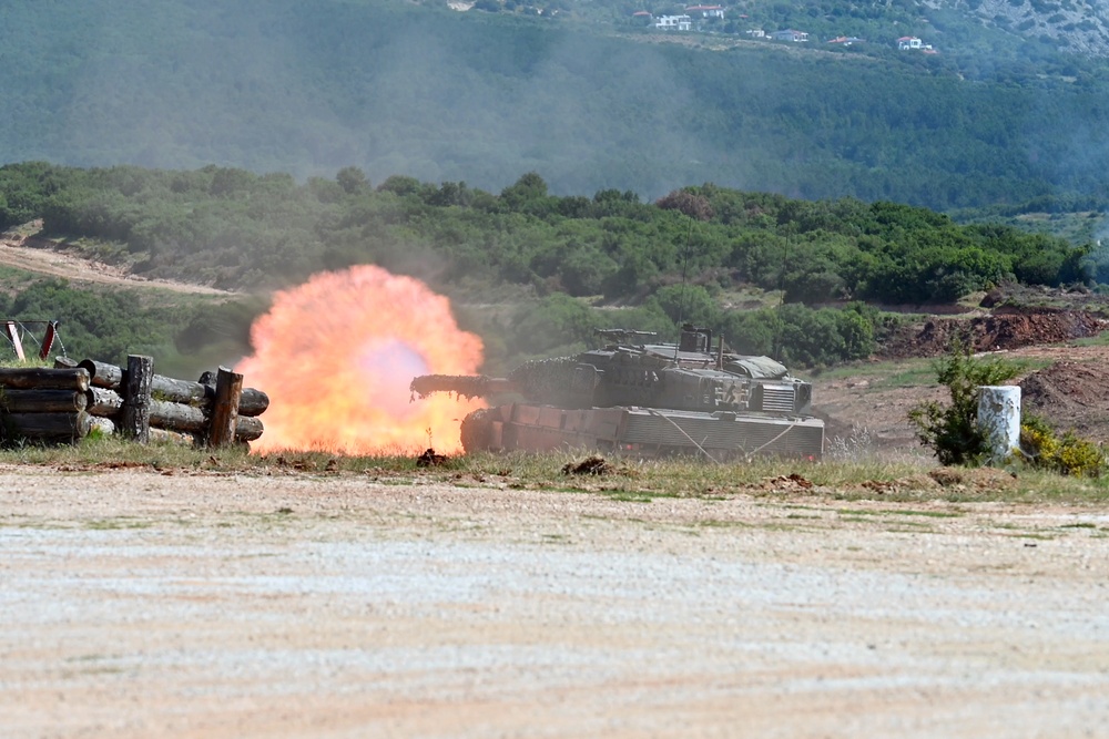 Immediate Response 25 - Petrochori, Greece
