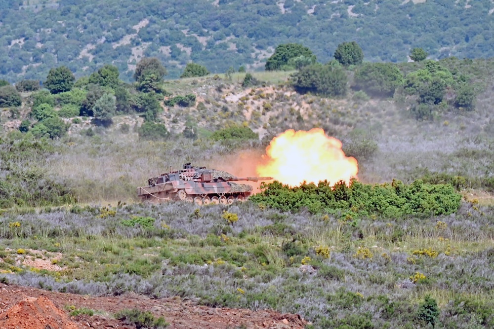 Immediate Response 25 - Petrochori, Greece