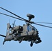 Immediate Response 25 - Petrochori, Greece