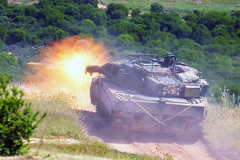 Immediate Response 25 - Petrochori, Greece