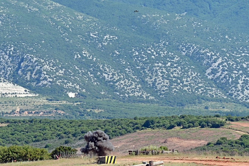 Immediate Response 25 - Petrochori, Greece