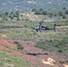Immediate Response 25 - Petrochori, Greece