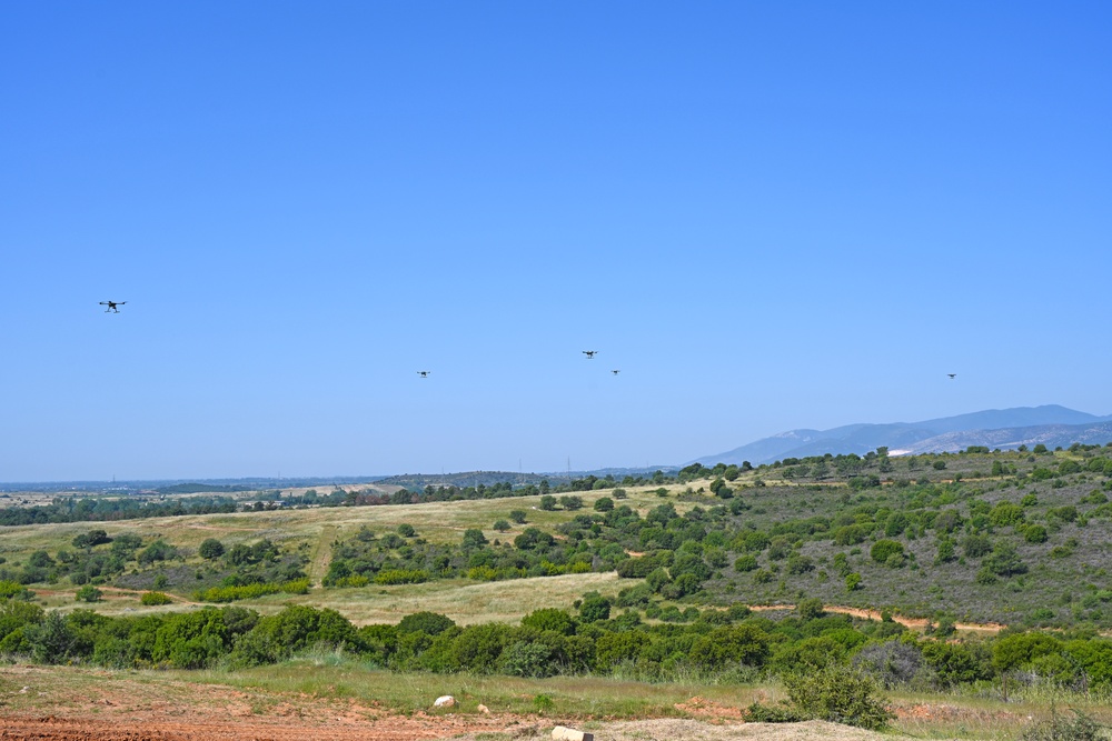 Immediate Response 25 - Petrochori, Greece
