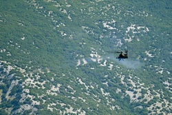 Immediate Response 25 - Petrochori, Greece [Image 29 of 36]