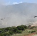 Immediate Response 25 - Petrochori, Greece