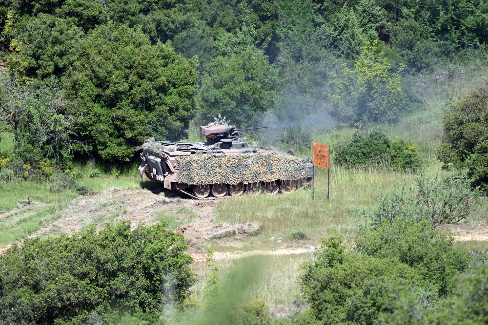 Immediate Response 25 - Petrochori, Greece