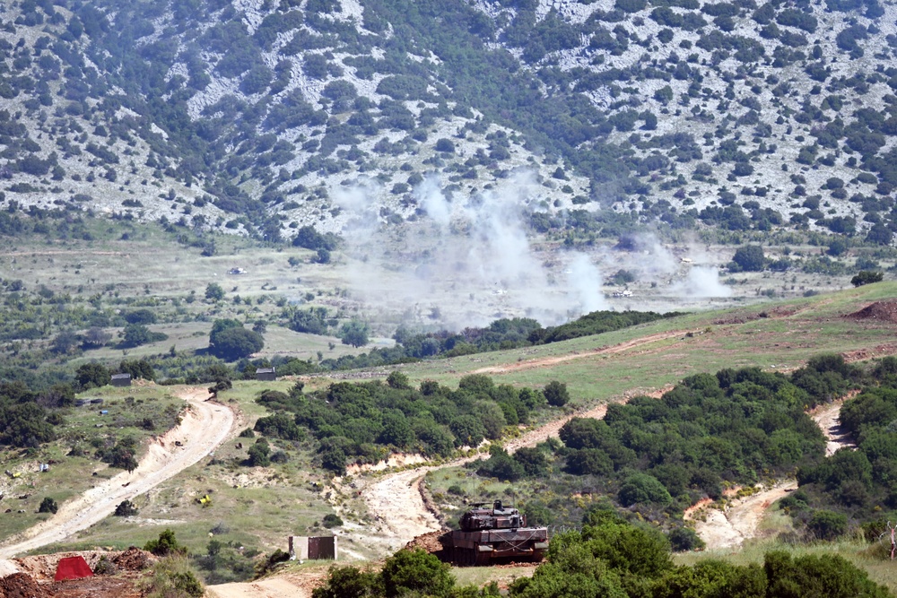 Immediate Response 25 - Petrochori, Greece