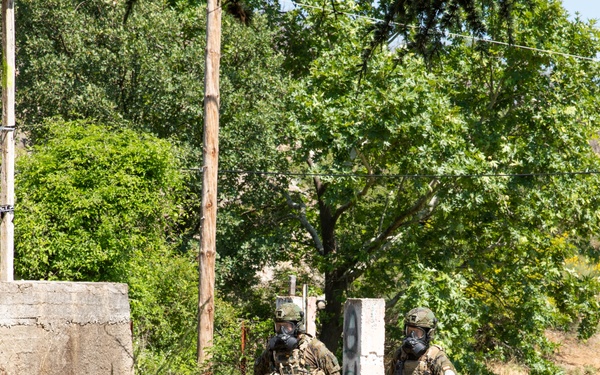 Multinational CBRNE near Loutros begins