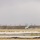 RLZ Ground and Construction Operations