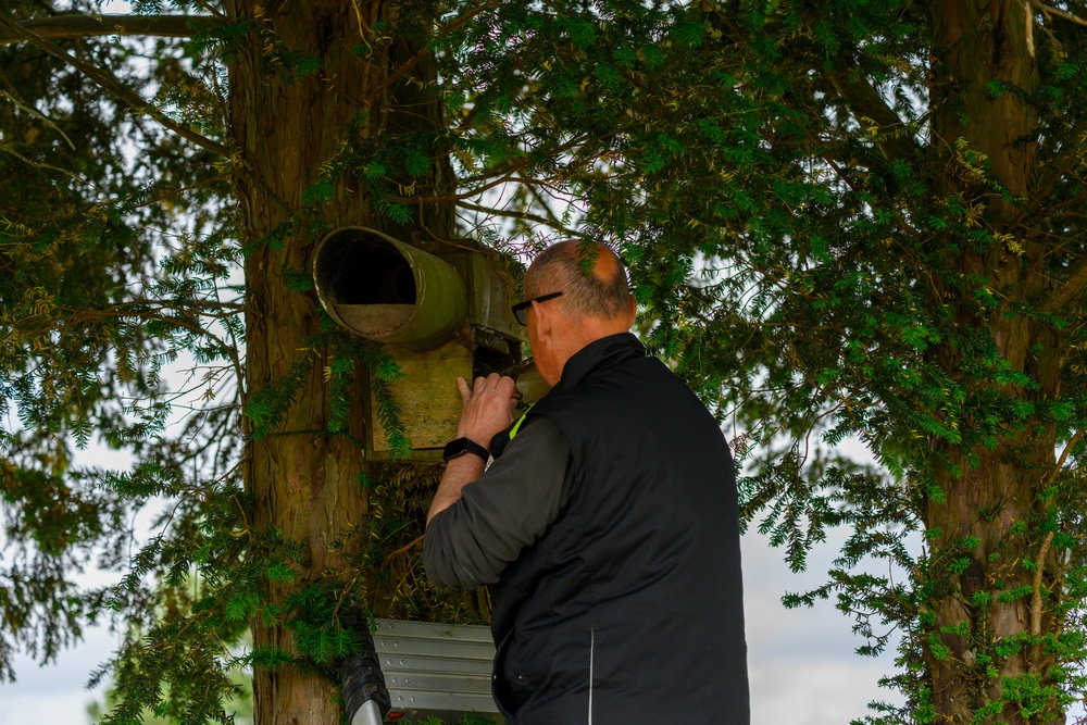 Birds of Prey Banding at USAG Benelux