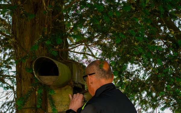 Birds of Prey Banding at USAG Benelux