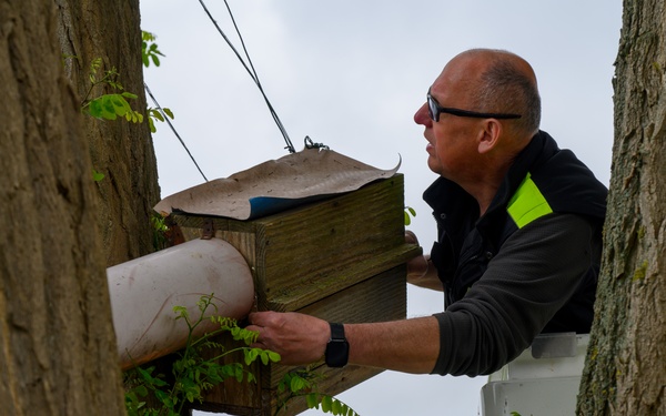 Birds of Prey Banding at USAG Benelux