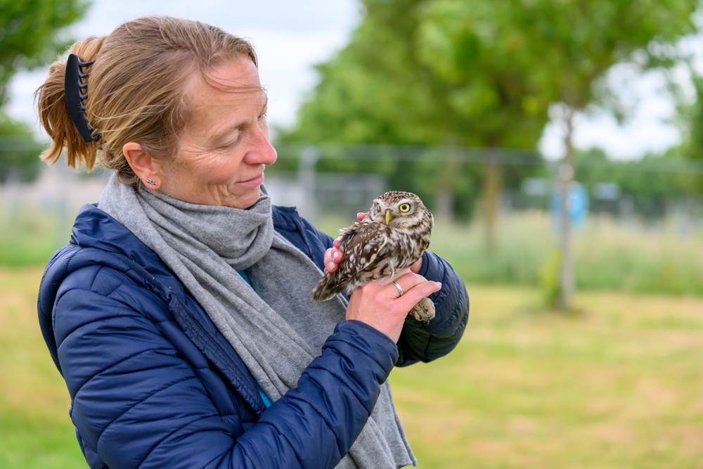 Birds of Prey Banding at USAG Benelux