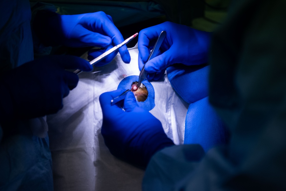 Surgery in the Field