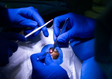 Surgery in the Field