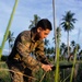 KAMANDAG 9: U.S. Marines with 2nd Bn. 1st Marines, MRF-D 25.3 conduct an air insert