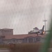 Wyvern 3 Fini Flight