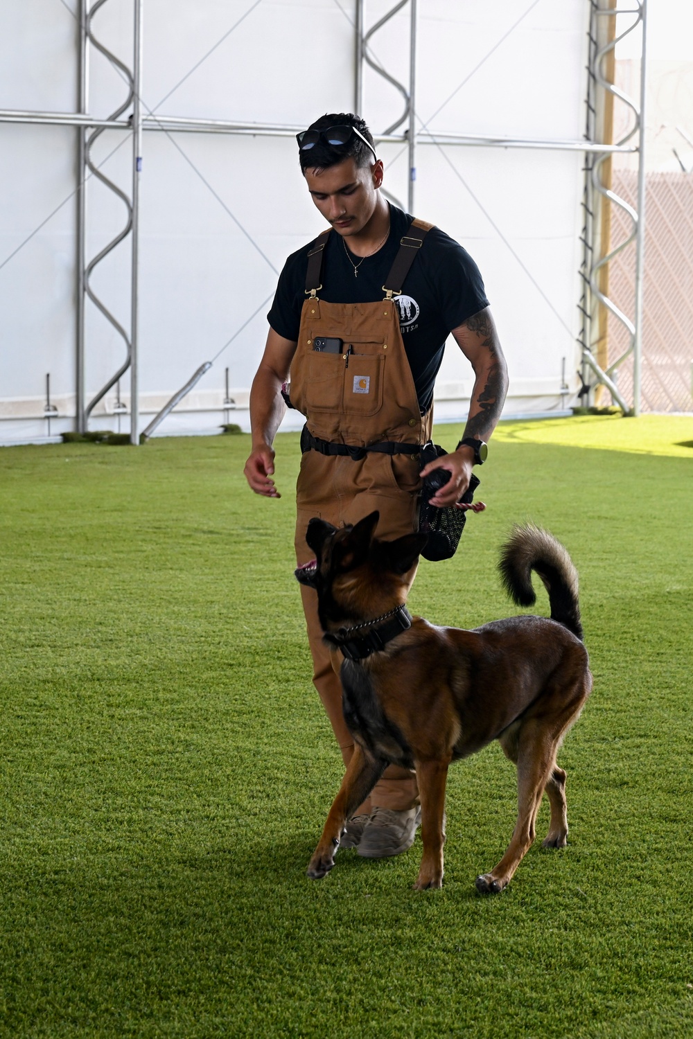 Loyal guardians: Military working dogs enhance CJTF-HOA security capabilities