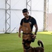 Loyal guardians: Military working dogs enhance CJTF-HOA security capabilities