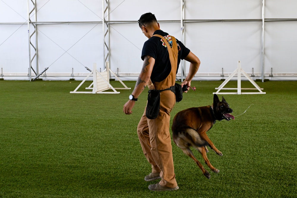 Loyal guardians: Military working dogs enhance CJTF-HOA security capabilities