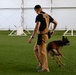 Loyal guardians: Military working dogs enhance CJTF-HOA security capabilities