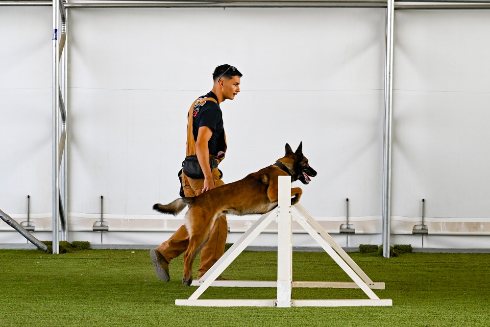 Loyal guardians: Military working dogs enhance CJTF-HOA security capabilities