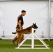 Loyal guardians: Military working dogs enhance CJTF-HOA security capabilities