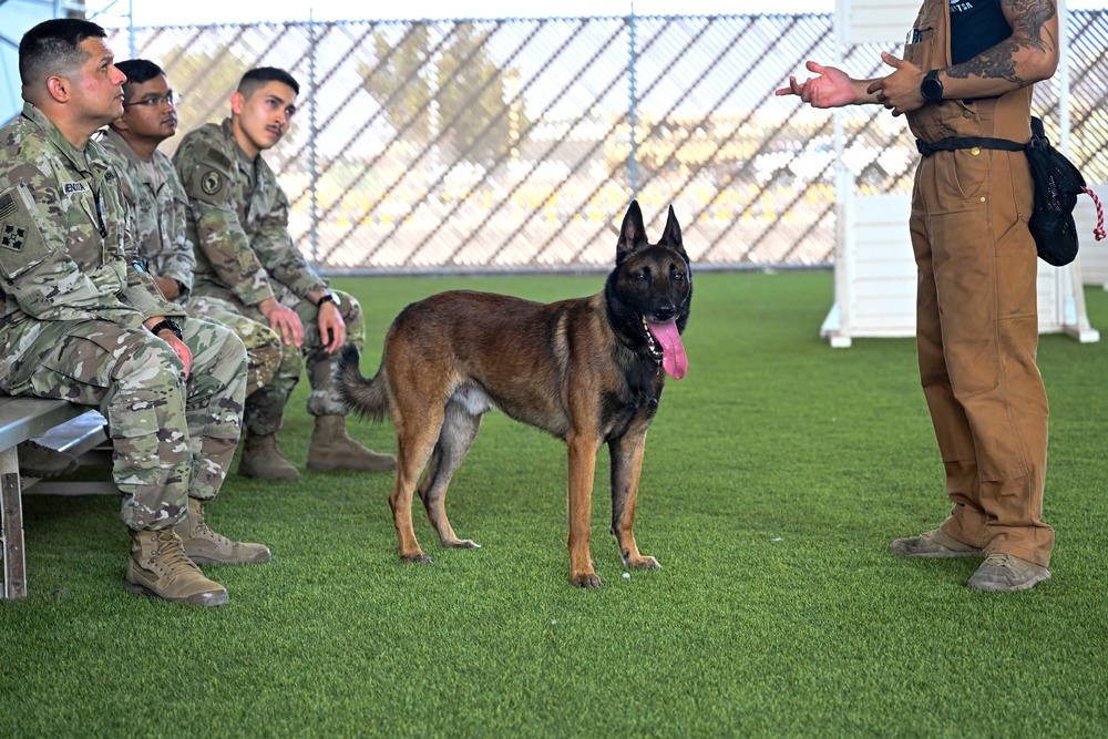 Loyal guardians: Military working dogs enhance CJTF-HOA security capabilities