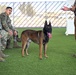 Loyal guardians: Military working dogs enhance CJTF-HOA security capabilities
