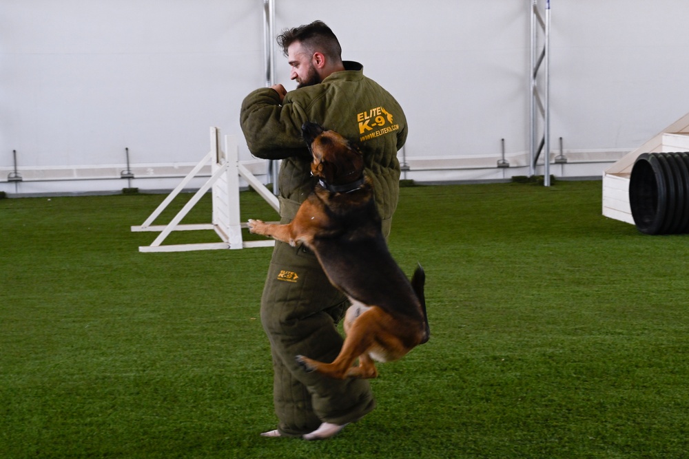Loyal guardians: Military working dogs enhance CJTF-HOA security capabilities