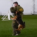 Loyal guardians: Military working dogs enhance CJTF-HOA security capabilities